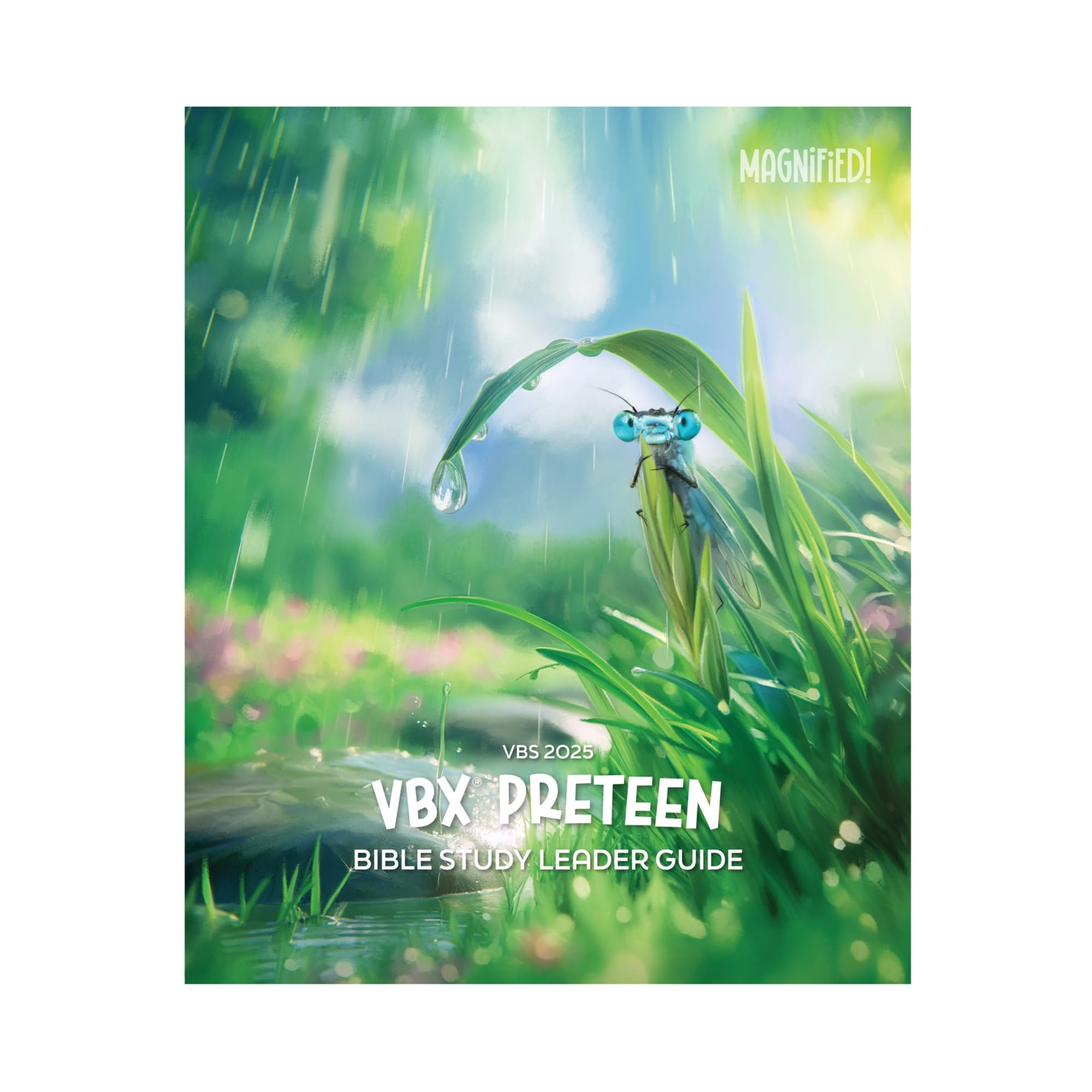 Amazon.com: Lifeway Kids VBS 2025 Magnified! VBX Preteen